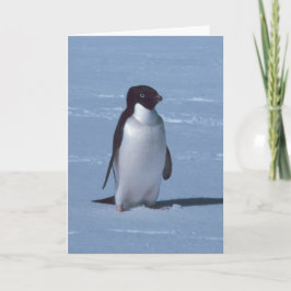 Lone Penguin im Schnee Dankeskarte