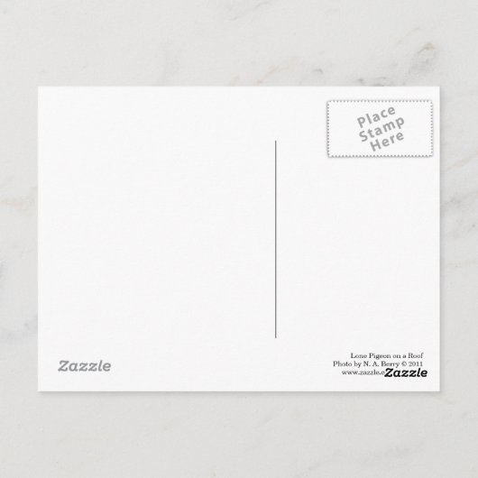 Lone Pigeon auf einem Dach Postkarte (Rückseite)