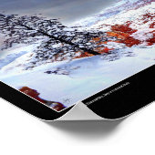 Lone Pine in a Painted Sky - Fine Art Poster (Ecke)