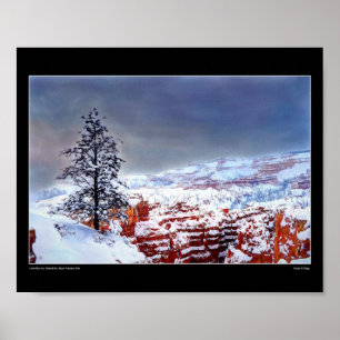 Lone Pine in a Painted Sky - Fine Art Poster