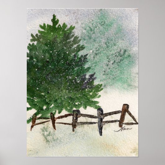 Lone Pine Snowy Tree Print Poster (Vorne)