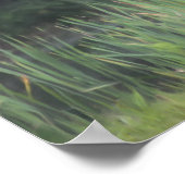 Lone Red Winged Blackbird Malerei Natur Poster (Ecke)