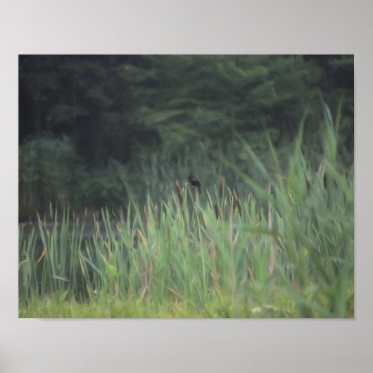 Lone Red Winged Blackbird Malerei Natur Poster (Vorne)