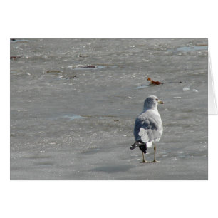 Lone Seagull auf dem Fluss Ice