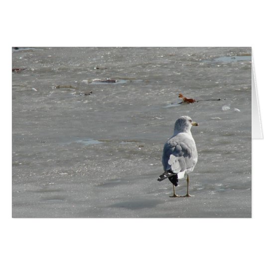 Lone Seagull auf dem Fluss Ice (Vorderseite (Horizontal))