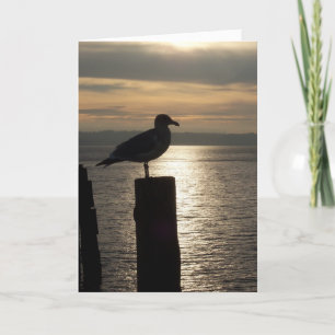 Lone Seagull Sympathy Card Karte