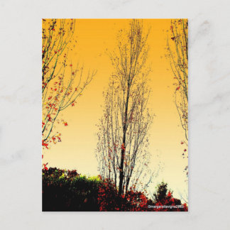 "Lone Sentinel" Postkarte