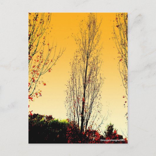 "Lone Sentinel" Postkarte (Vorderseite)