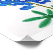 Lone Star Bluebonnet Print Poster (Ecke)