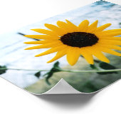 Lone Sunfloer Poster (Ecke)