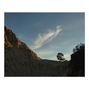 Lone Torrey Pine California Sunset Landschaft Fotodruck