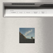 Lone Torrey Pine California Sunset Landschaft Magnet (In Situ (Geschirrspüler))