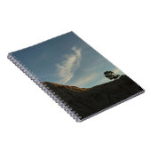 Lone Torrey Pine California Sunset Landschaft Notizblock (Rechte Seite)