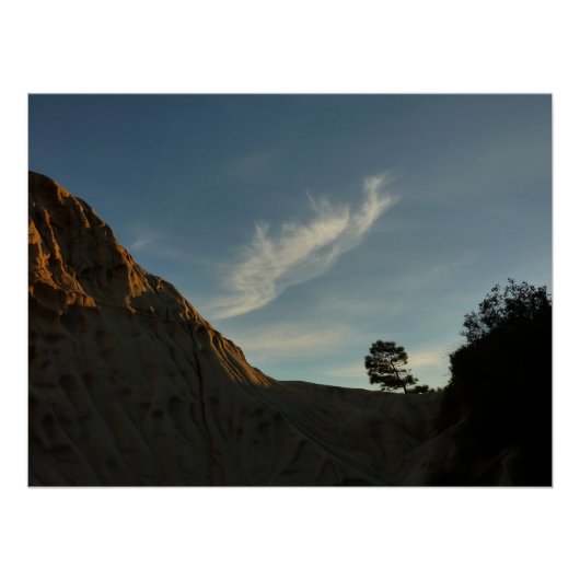 Lone Torrey Pine California Sunset Landschaft Poster (Vorderseite)