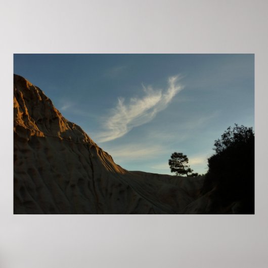 Lone Torrey Pine California Sunset Landschaft Poster (Vorne)