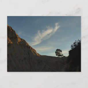 Lone Torrey Pine California Sunset Landschaft Postkarte