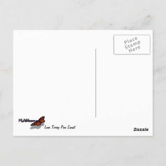 Lone Torrey Pine California Sunset Landschaft Postkarte (Rückseite)