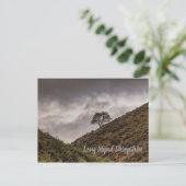 Lone Tree Long Mynd Shropshire Postkarte (Stehend Vorderseite)