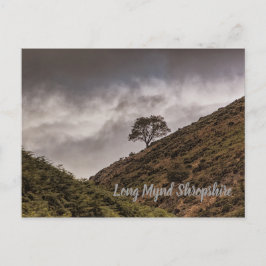 Lone Tree Long Mynd Shropshire Postkarte
