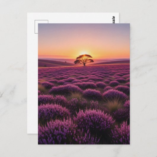 Lone Tree North York Moors National Park England Postkarte (Vorne/Hinten)