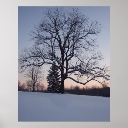 Lone Tree Poster (Vorne)