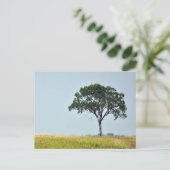 Lone Tree Postkarte (Stehend Vorderseite)