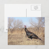 Lone Türkei Postkarte (Vorne/Hinten)