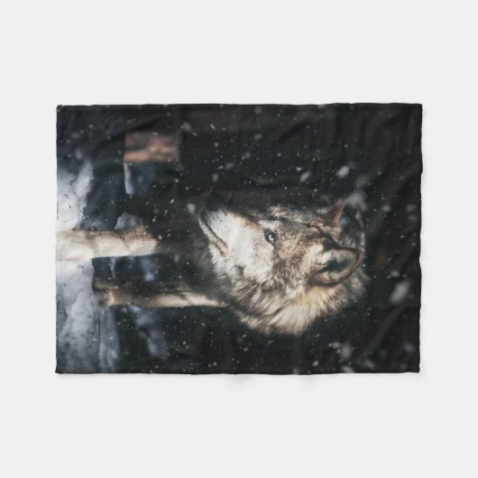 Lone Wanderer Fleecedecke (Vorderseite (Horizontal))