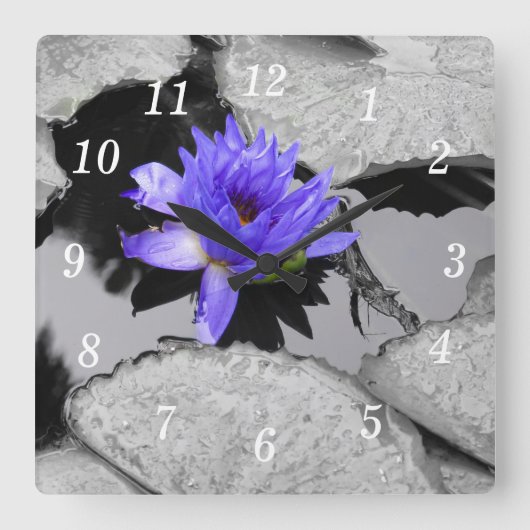 Lone Water Lily Wall Uhr (Vorderseite)