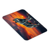Lone Wolf at Sunset Magnet (Rechte Seite)