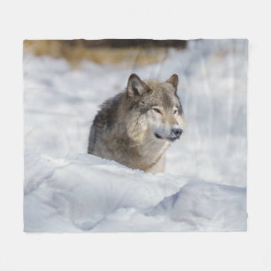 Lone Wolf im Schnee Fleecedecke