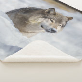 Lone Wolf im Schnee Sherpadecke (3/4)