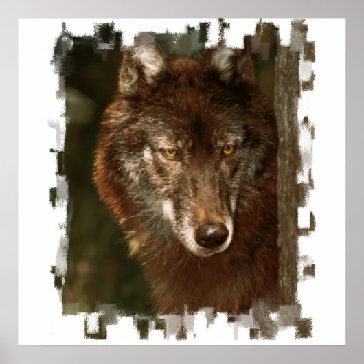 Lone Wolf Poster (Vorne)