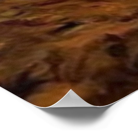 Lone Wolf Poster (Ecke)