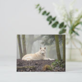 Lone Wolf Postkarte (Stehend Vorderseite)