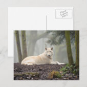 Lone Wolf Postkarte (Vorne/Hinten)