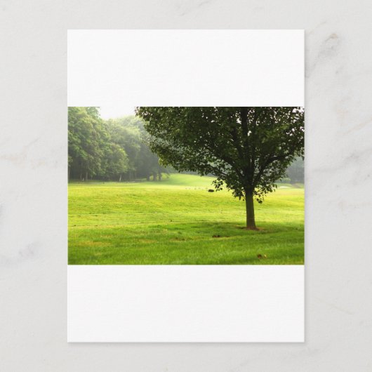 Lone Wolf Postkarte (Vorderseite)