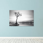 Lonely Bare Tree Leinwanddruck (Insitu (Holzboden))
