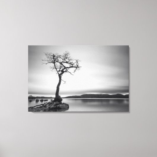Lonely Bare Tree Leinwanddruck (Vorderseite)