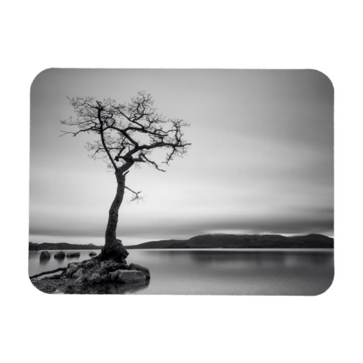 Lonely Bare Tree Magnet (Horizontal)