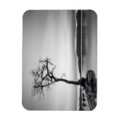 Lonely Bare Tree Magnet (Vertikal)