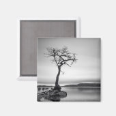 Lonely Bare Tree Magnet (Vorderseite/Rückseite)