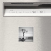 Lonely Bare Tree Magnet (In Situ (Geschirrspüler))