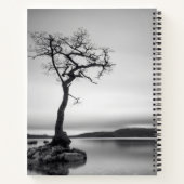 Lonely Bare Tree Notizblock (Rückseite)
