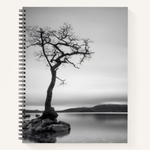 Lonely Bare Tree Notizblock