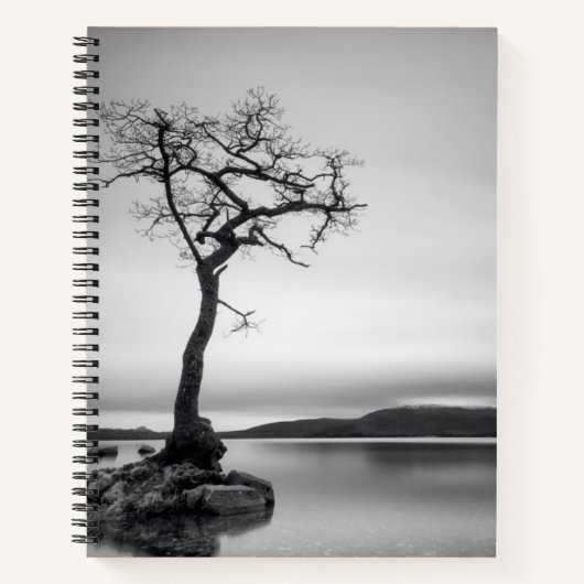 Lonely Bare Tree Notizblock (Vorderseite)
