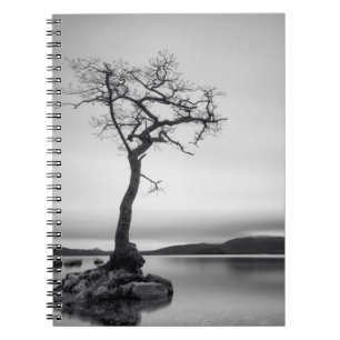Lonely Bare Tree Notizblock