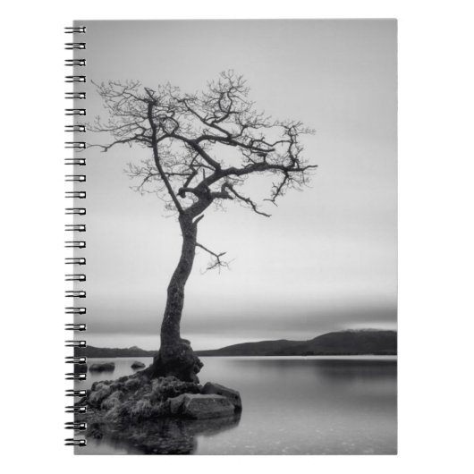 Lonely Bare Tree Notizblock (Vorderseite)