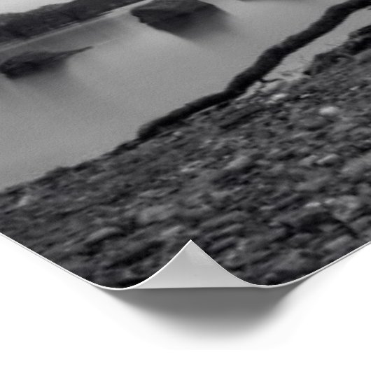 Lonely Bare Tree Poster (Ecke)