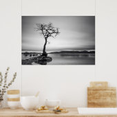 Lonely Bare Tree Poster (Küche)